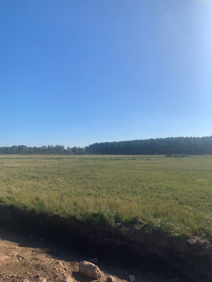 Lotes en Barrio Semicerrado Paseo del Sol - Marcos Paz