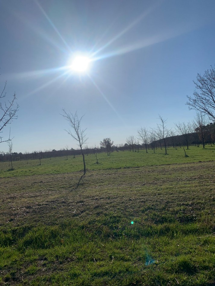 Lotes en Barrio Cerrado Village Park - Marcos Paz
