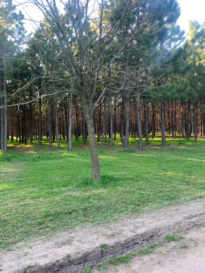 Lotes en Barrio Cerrado Village Park - Marcos Paz