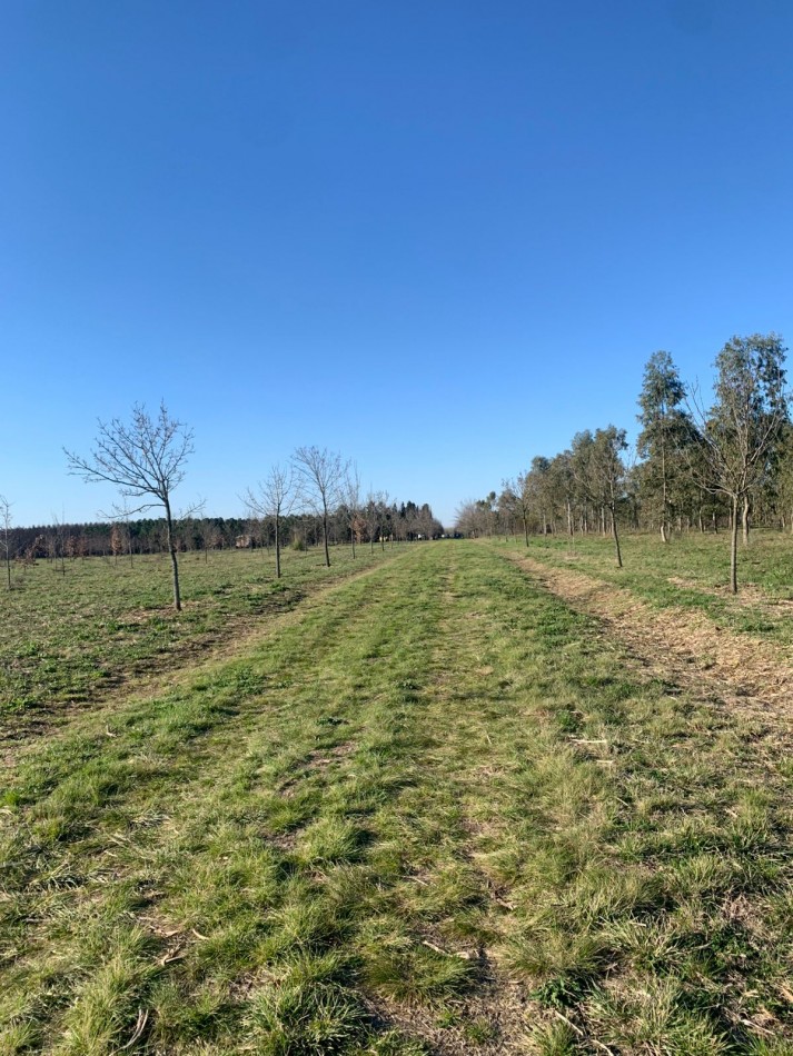 Lotes en Barrio Cerrado Village Park - Marcos Paz