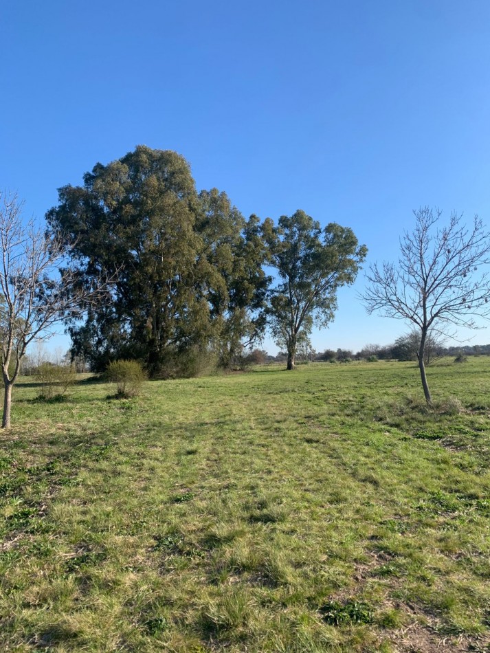 Lotes en Barrio Cerrado Village Park - Marcos Paz