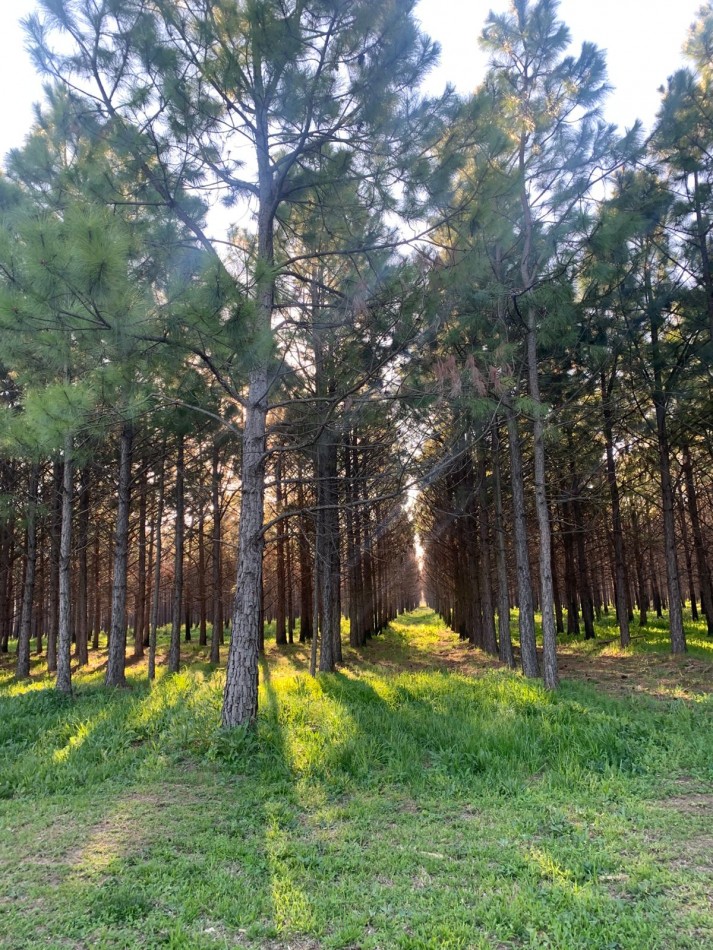Lotes en Barrio Cerrado Village Park - Marcos Paz
