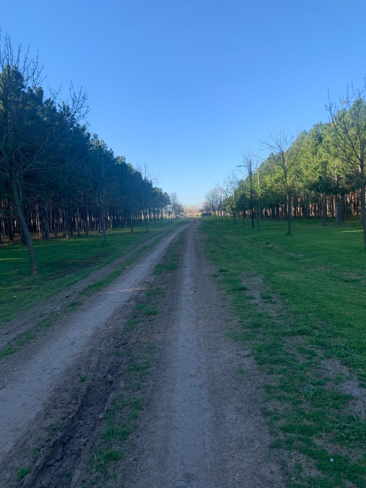 Lotes en Barrio Cerrado Village Park - Marcos Paz