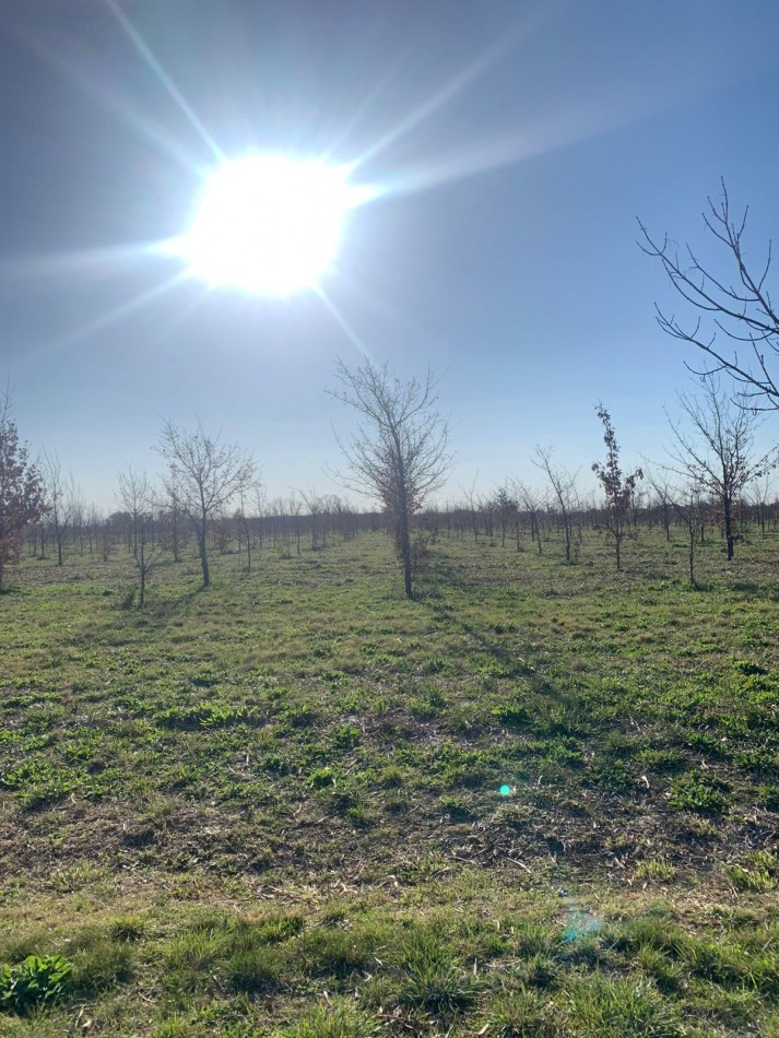 Lotes en Barrio Cerrado Village Park - Marcos Paz