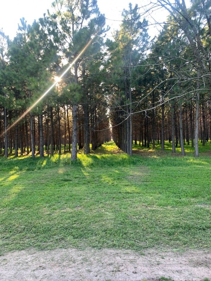 Lotes en Barrio Cerrado Village Park - Marcos Paz