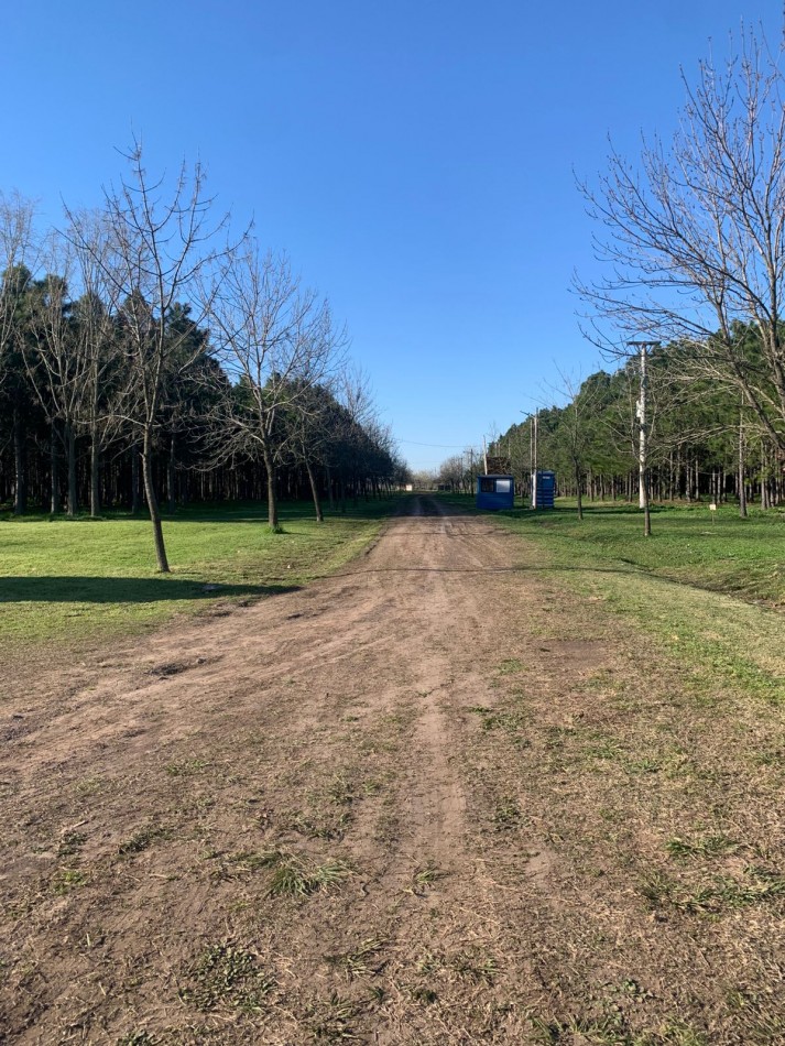 Lotes en Barrio Cerrado Village Park - Marcos Paz