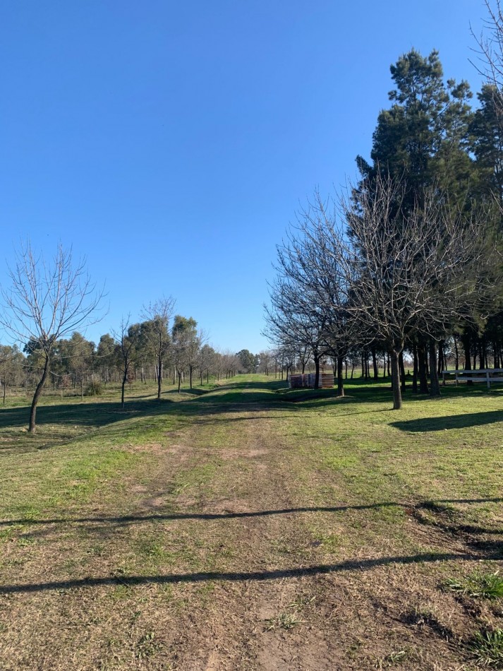 Lotes en Barrio Cerrado Village Park - Marcos Paz