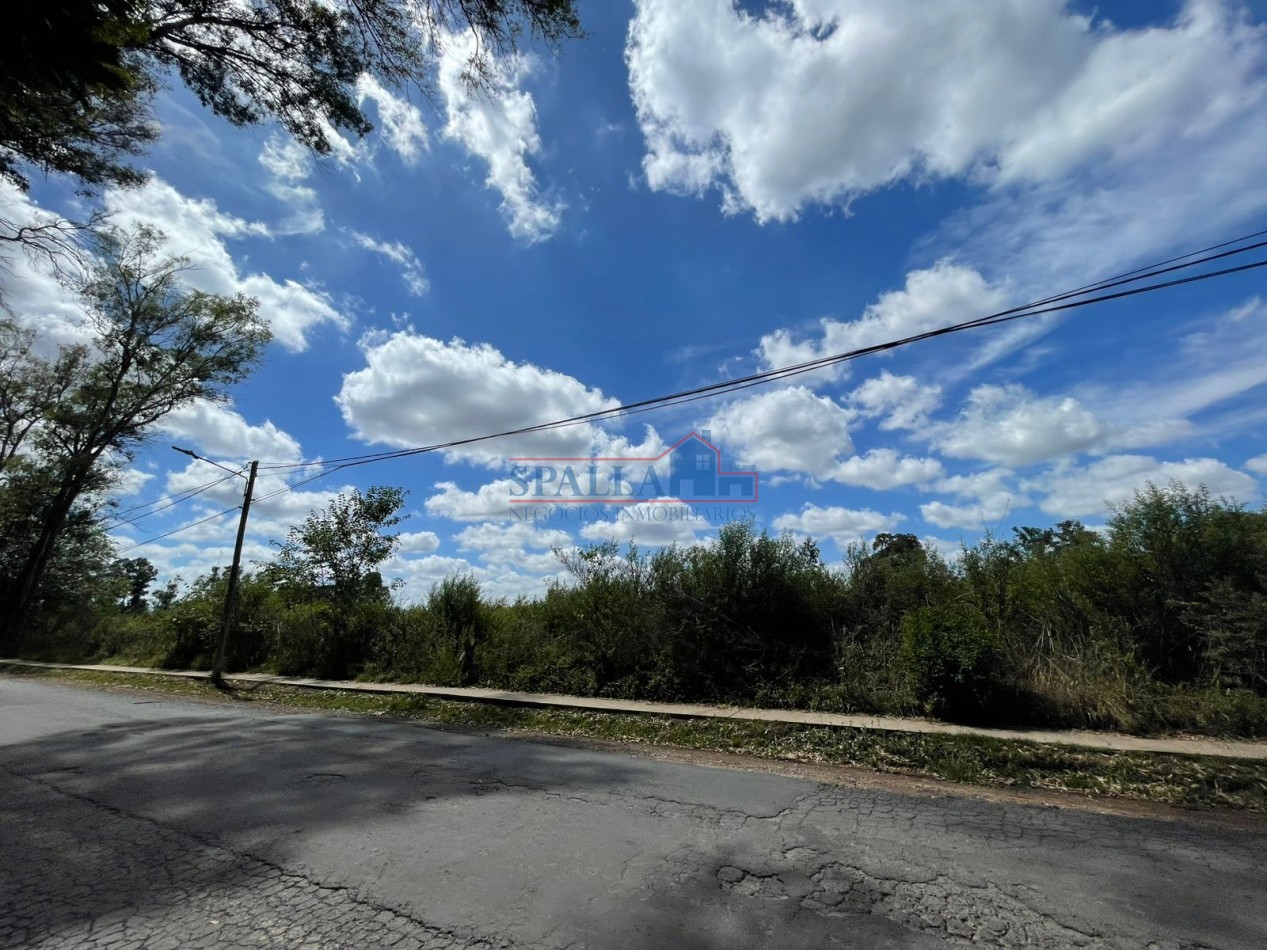 VENTA HECTAREAS EN VILLA ASTOLFI A METROS DE RUTA 25 PILAR - PARA DESARROLLOS