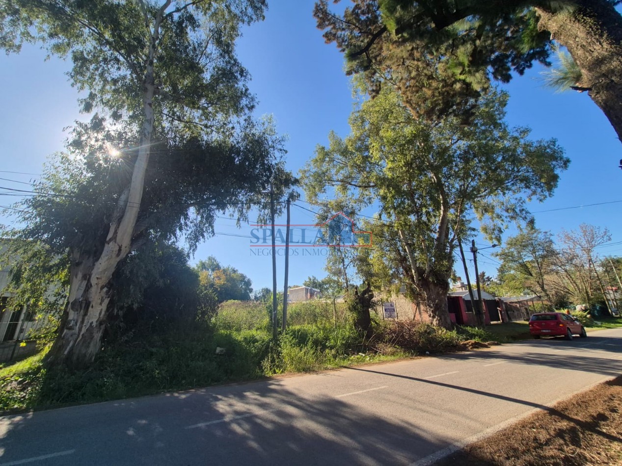 VENTA LOTE 300 M2 PILAR - OPORTUNIDAD
