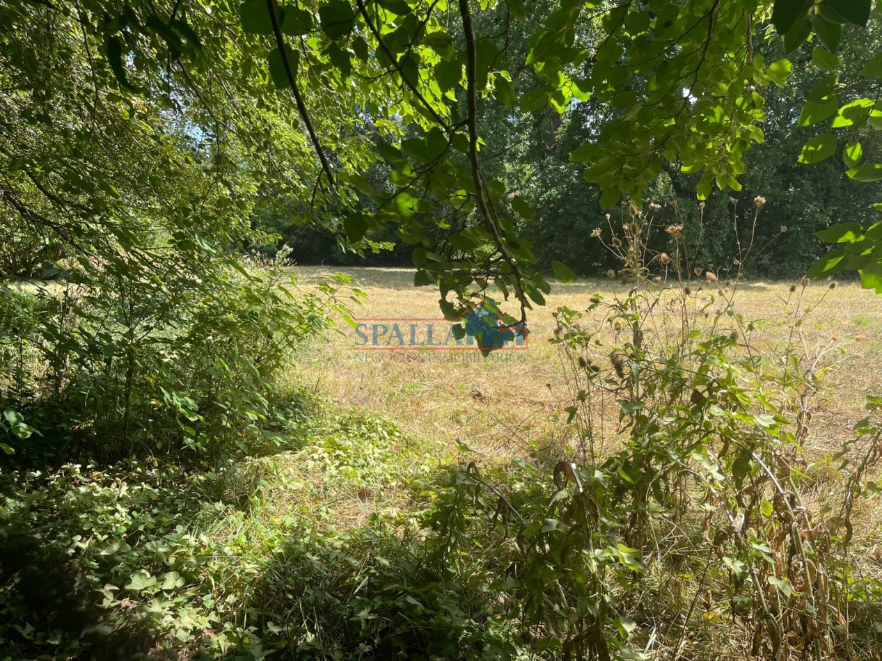 VENTA HECTAREAS EN VILLA ASTOLFI A METROS DE RUTA 25 PILAR - PARA DESARROLLOS