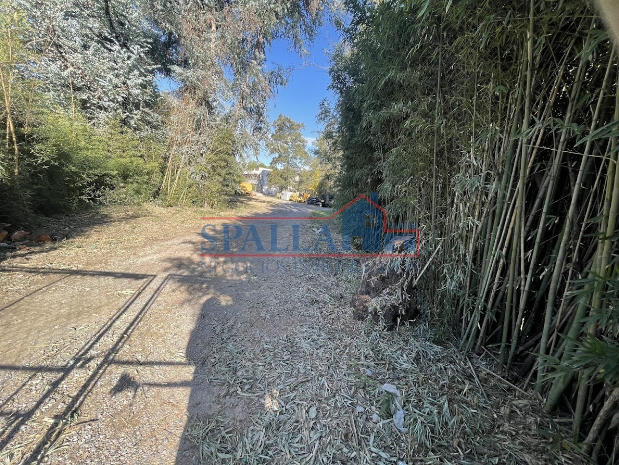 ALQUILER LOTE MULTIPLES USOS CARDALES EXALTACION DE LA CRUZ