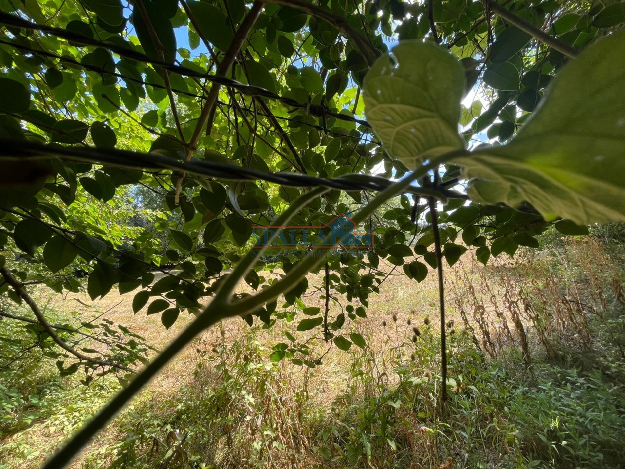 VENTA HECTAREAS EN VILLA ASTOLFI A METROS DE RUTA 25 PILAR - PARA DESARROLLOS
