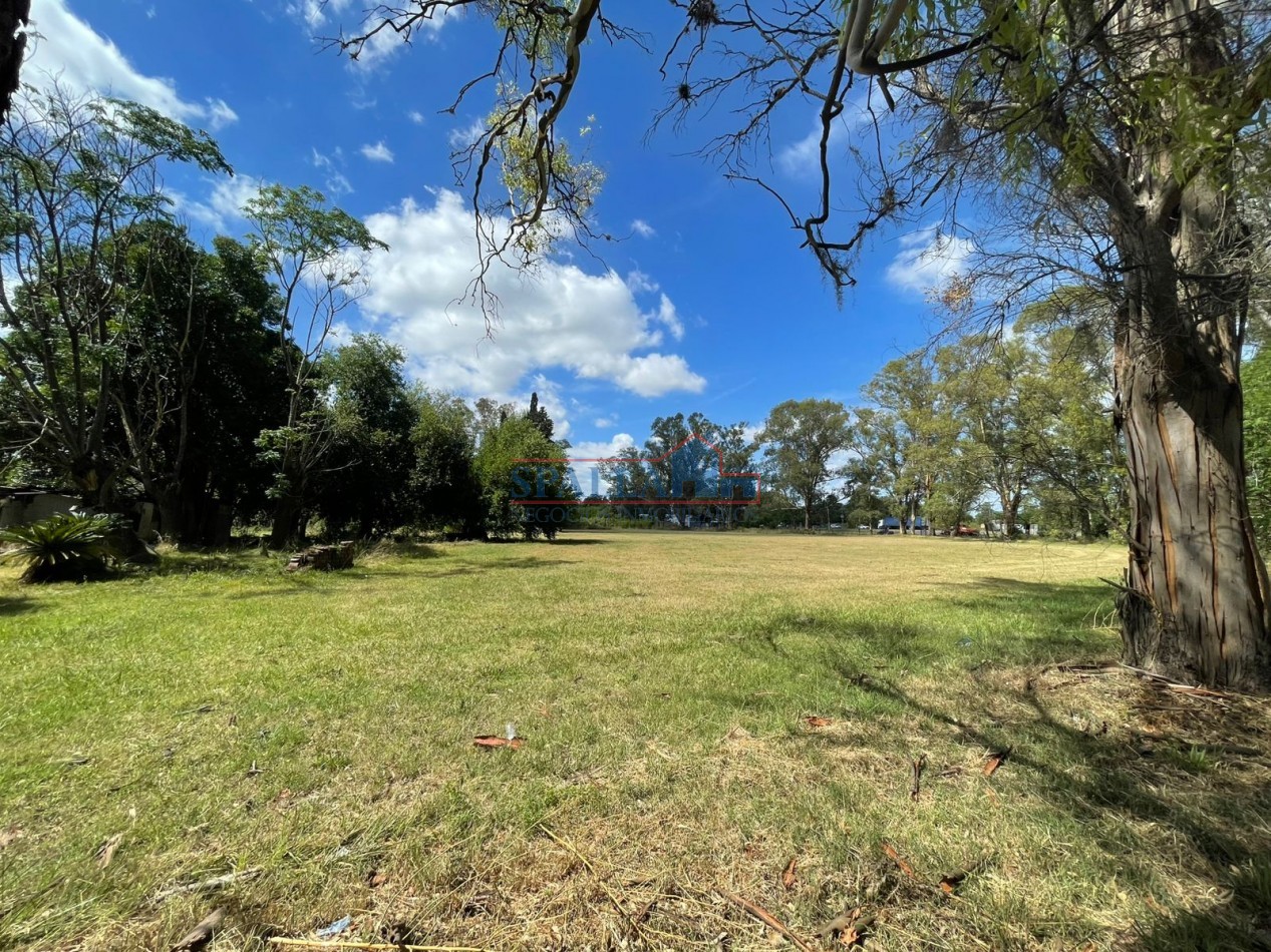 VENTA HECTAREAS EN VILLA ASTOLFI A METROS DE RUTA 25 PILAR - PARA DESARROLLOS