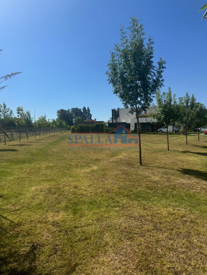 VENTA LOTE BARRIO SAN EDUARDO PILAR DEL ESTE - PERMUTA