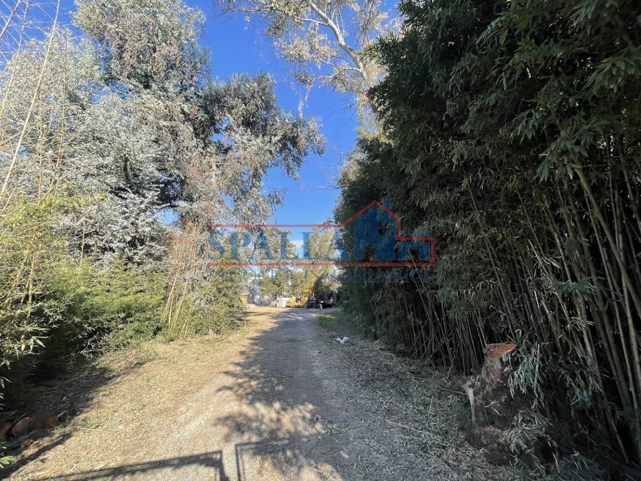 ALQUILER LOTE MULTIPLES USOS CARDALES EXALTACION DE LA CRUZ