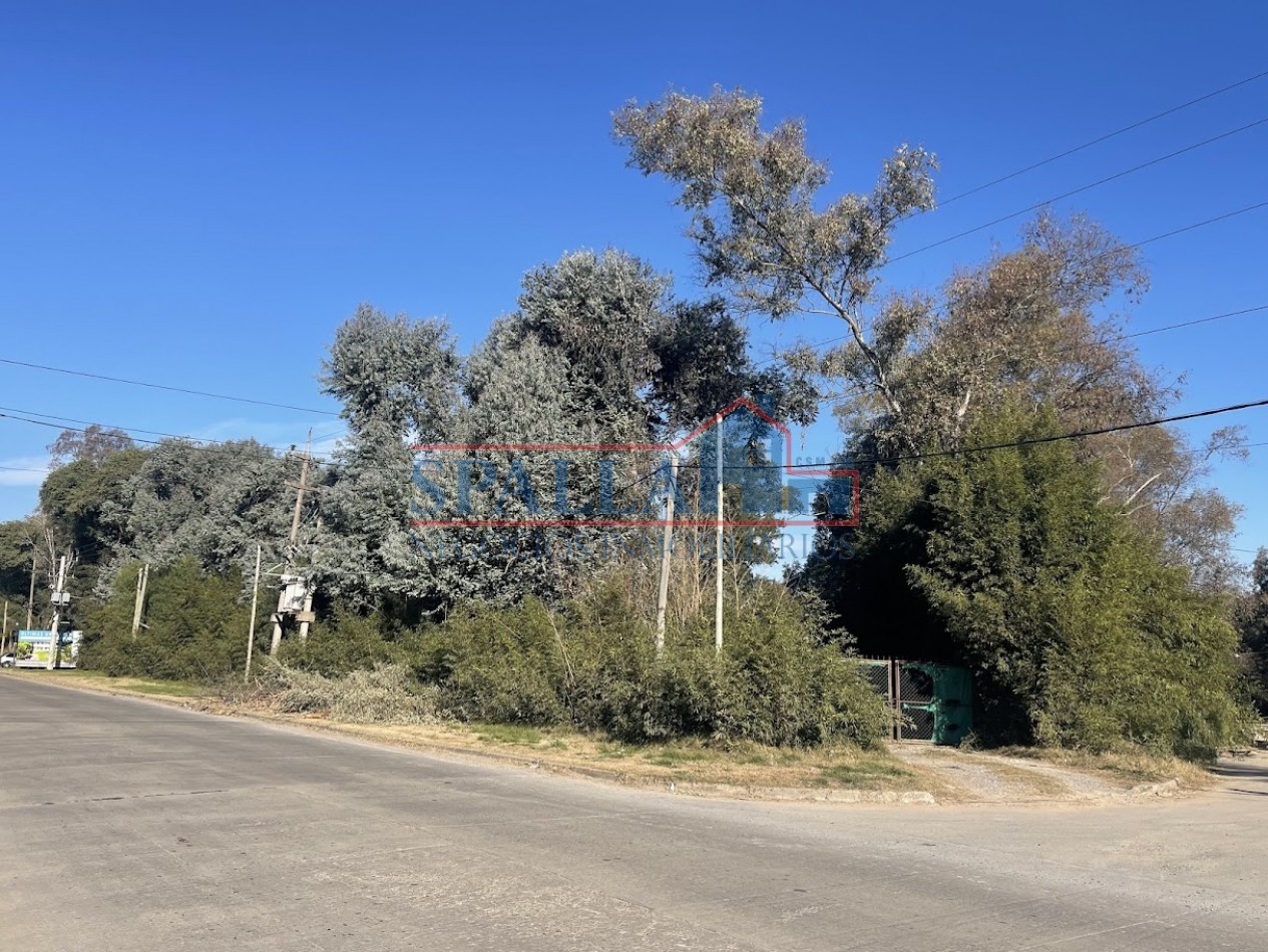 ALQUILER LOTE MULTIPLES USOS CARDALES EXALTACION DE LA CRUZ