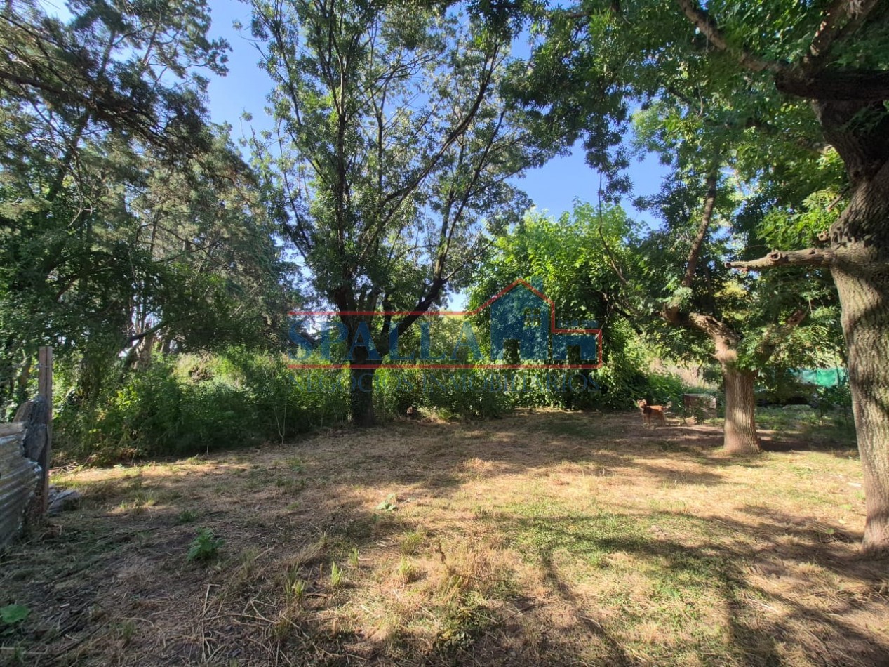 LOTE CON LOCALES EN CENTRO DE MANZANARES - OPORTUNIDAD DE INVERSION