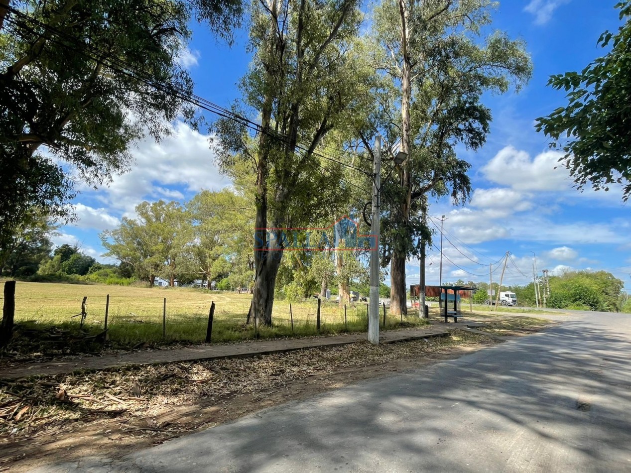 VENTA HECTAREAS EN VILLA ASTOLFI A METROS DE RUTA 25 PILAR - PARA DESARROLLOS