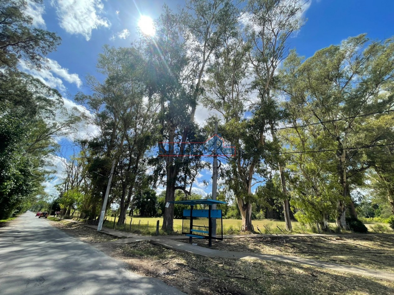 VENTA HECTAREAS EN VILLA ASTOLFI A METROS DE RUTA 25 PILAR - PARA DESARROLLOS