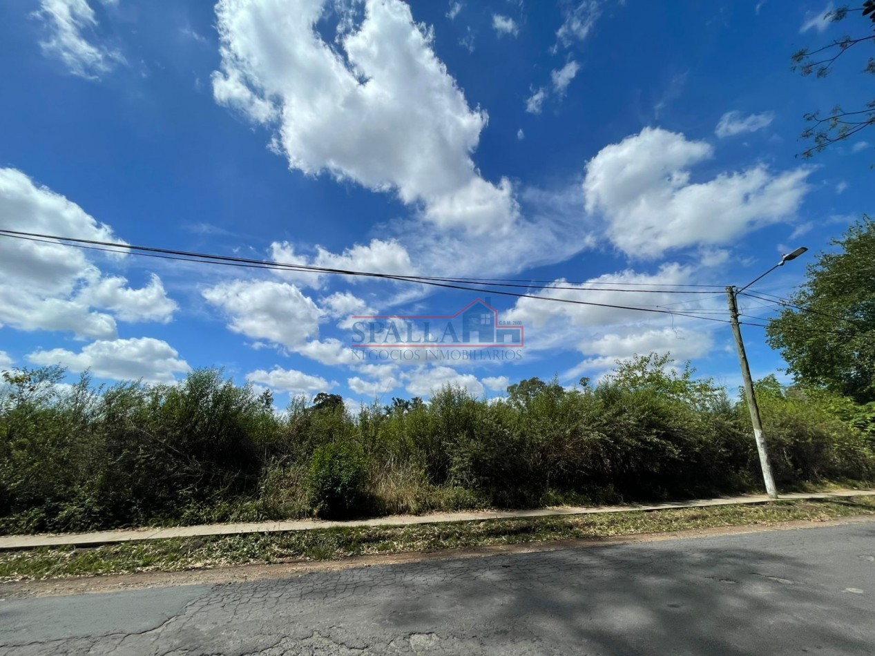 VENTA HECTAREAS EN VILLA ASTOLFI A METROS DE RUTA 25 PILAR - PARA DESARROLLOS