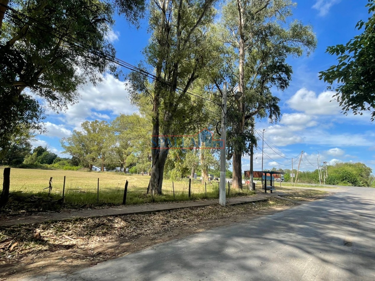 VENTA HECTAREAS EN VILLA ASTOLFI A METROS DE RUTA 25 PILAR - PARA DESARROLLOS