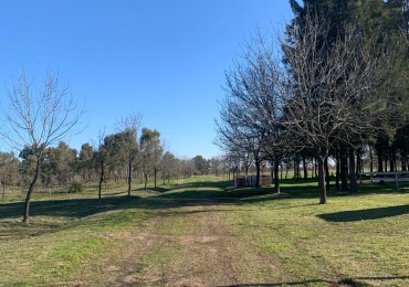 Lotes en Barrio Cerrado Village Park - Marcos Paz