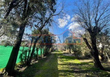 VENTA LOTE 420 M2 A METROS RUTA 25 PILAR